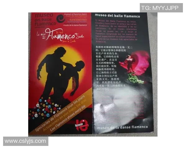 西班牙与法国国家实力对比分析及其在国际舞台上的影响力探讨